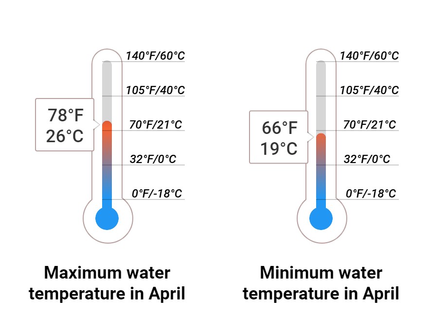 Average Sea temperature